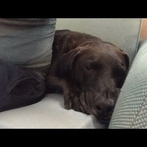 Meet your Posher, Bob